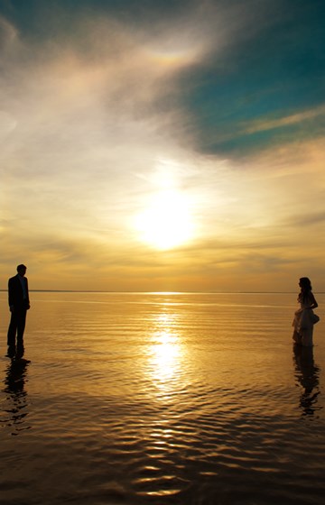 Wedding & Love-story: Избранное